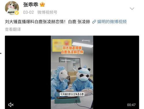 吃瓜爆料张凌赫