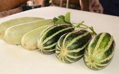 俄罗斯网红吃瓜图片大全,趣味横生的日常生活剪影