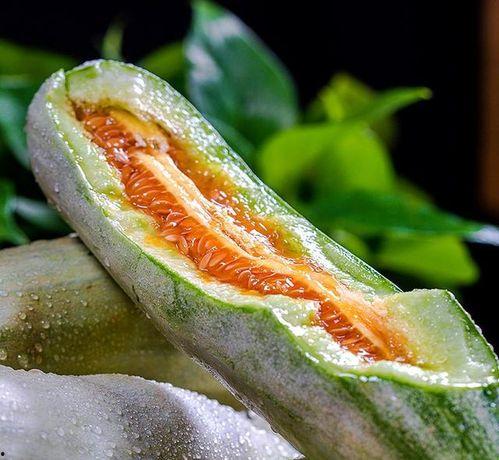 网红吃瓜头像,揭秘网络红人的趣味生活瞬间